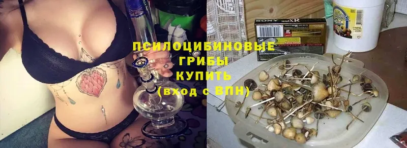 Галлюциногенные грибы ЛСД Владимир